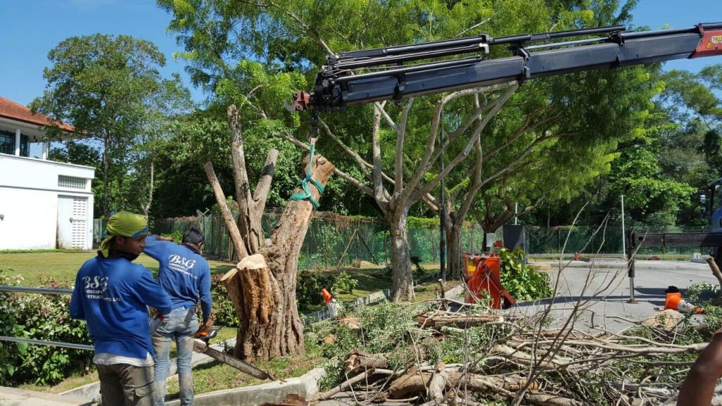 Landscaper