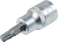 Screwdriver Socket XZN, M6 to M12