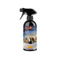 Waterless Motorbike Cleaner