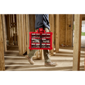 PACKOUT Tilt Bin Organizer