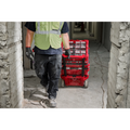PACKOUT Tilt Bin Organizer
