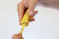 AS-Interface Cable Stripper