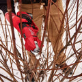 Brushless Pruning Shears, Cordless 12V